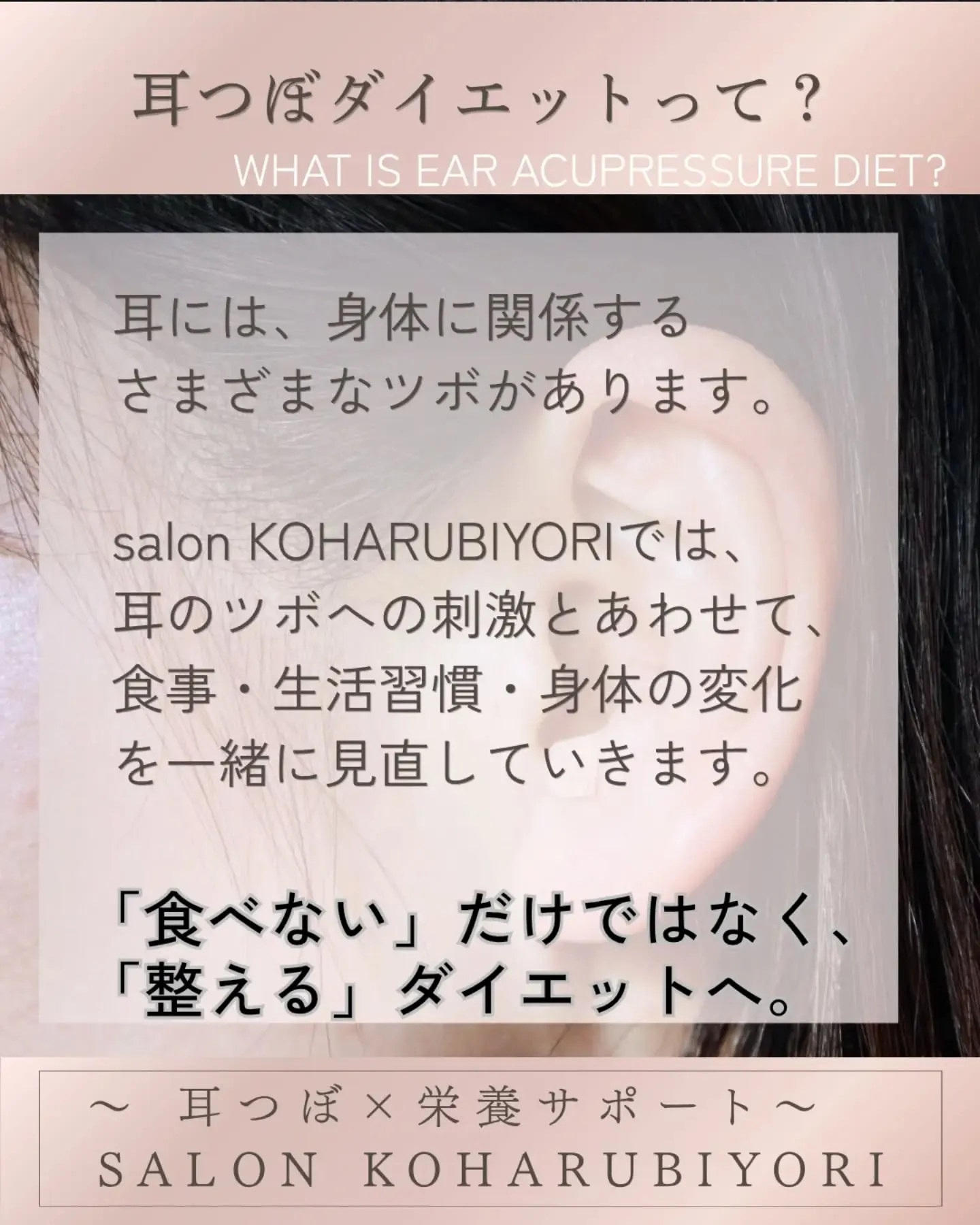 ・・━━・・━━・・━━・・━━・・