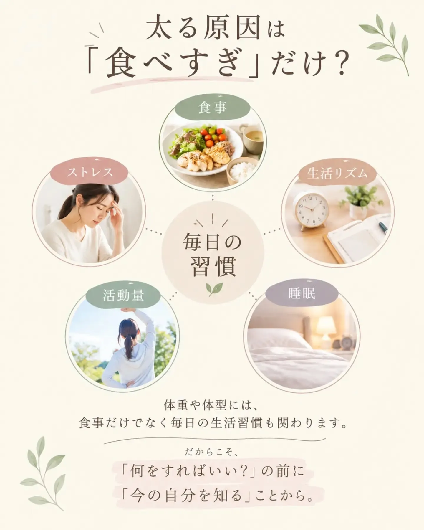 ・・━━・・━━・・━━・・━━・・