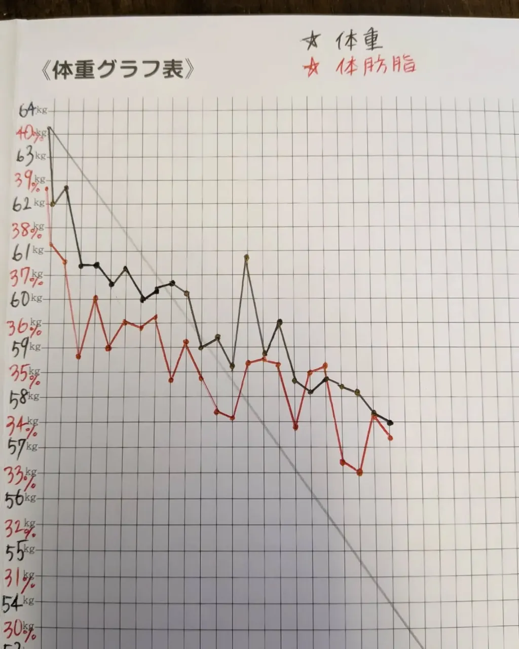 \40代女性・ダイエット経過報告/