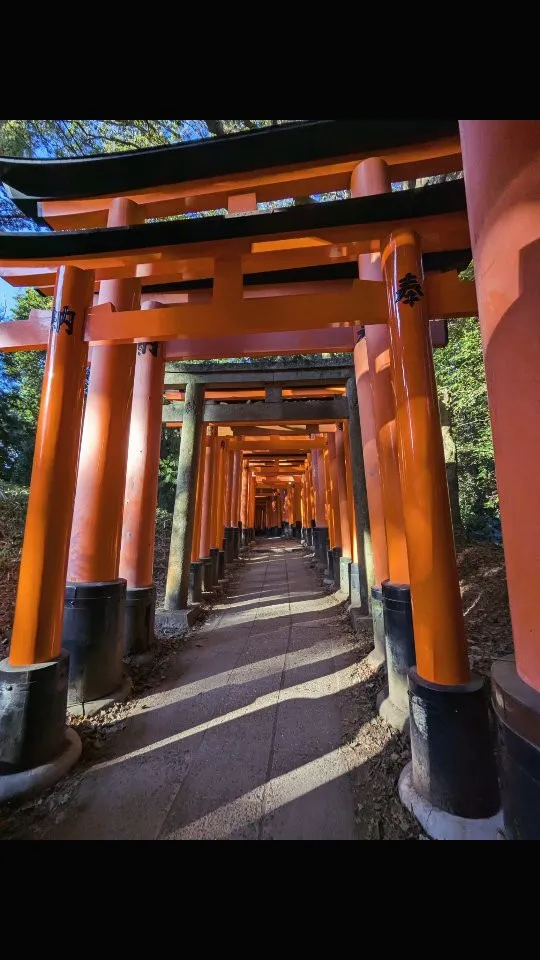 京都観光⁡⁡⛩️