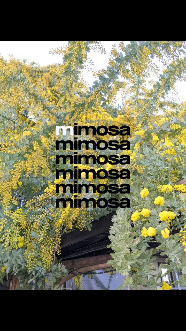 ⁡⁡【新居浜市耳つぼダイエットsalon⁡